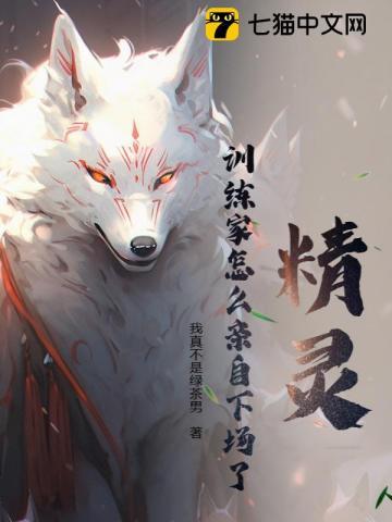 精灵训练家怎么亲自下场了