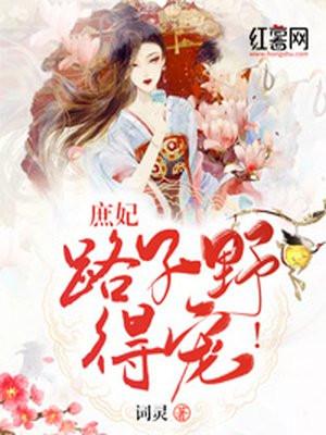 庶妃当道