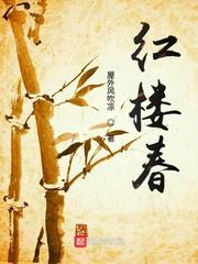 红楼春纤