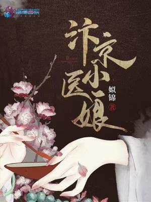 汴京小医娘免费阅读
