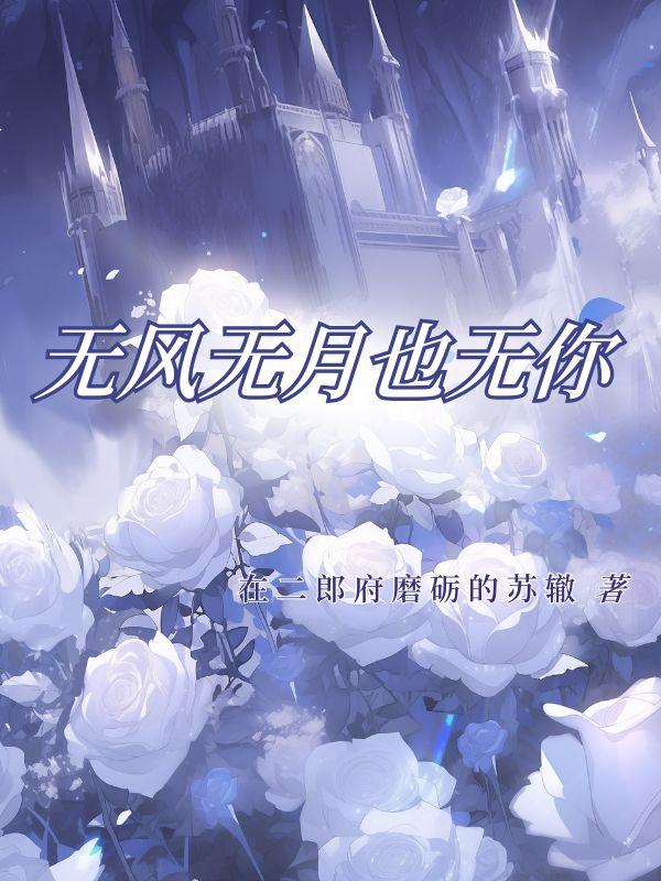 无风无月也无你表达了什么
