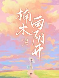 楠木向北txt