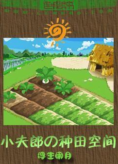 小夫郎的种田空间琴瑟行知