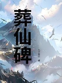 葬仙碑沈忘尘