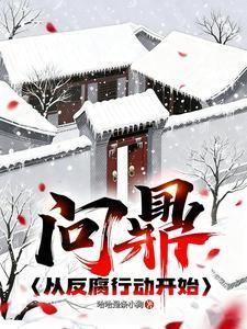 问鼎从反腐行动开始免费完整版