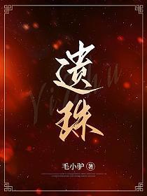 遗珠记免费阅读