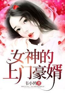 女神的上门豪婿完整版