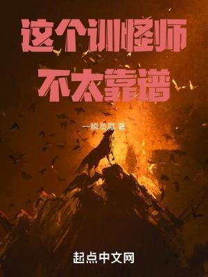 这个训练家有点强