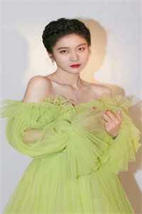 做将军是什么意思