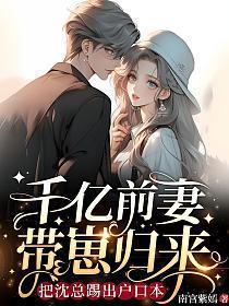 把沈总踢出户口本南宫紫嫣 / 著