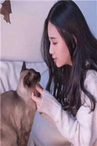 黎先生的小小娇妻全文阅读