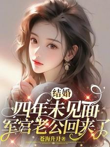 军官老公回来了 苍海升月 / 著