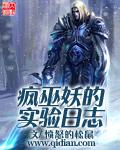 疯巫妖的实验日志全集