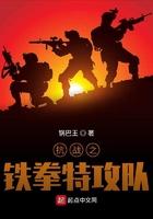 抗战之铁拳特攻队书旗网免费阅读