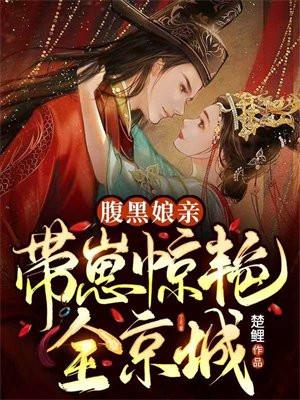 腹黑娘亲天才儿子