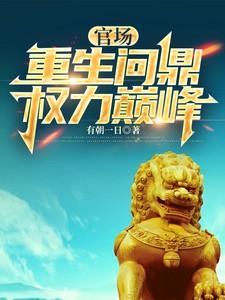官场重生问鼎权力巅峰作者龙城以歌