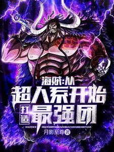 海贼从超人系开始打造最强团免费阅读