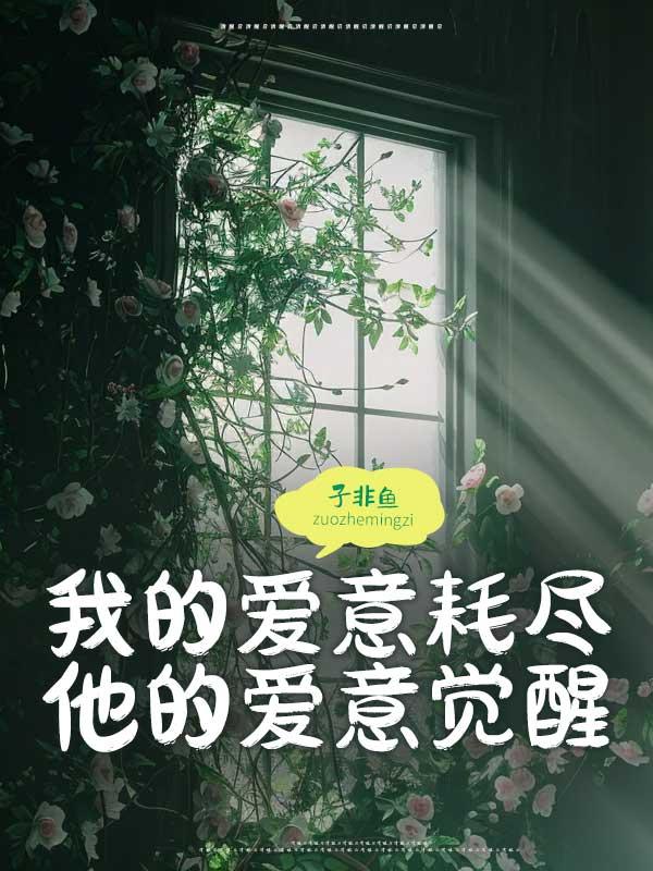 歌词我的爱意