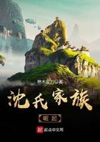 沈氏家族崛起百度百科