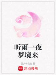 一夜听雨到天明上一句