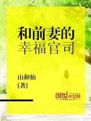 和前妻的幸福官司全本