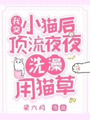 变成猫后我终于红了
