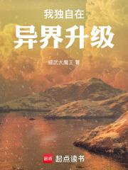 我独自升级