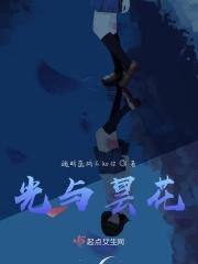 昙花和佛教