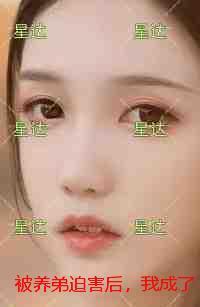 养弟成受