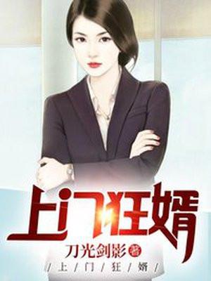 上门狂婿境界区分