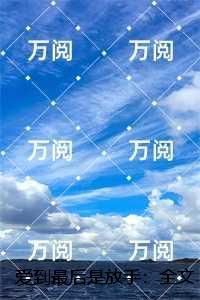 爱到最后你放了手歌词