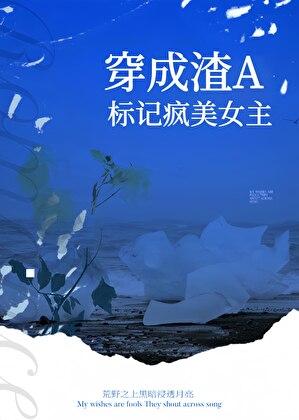穿成渣A标记疯美女主txt