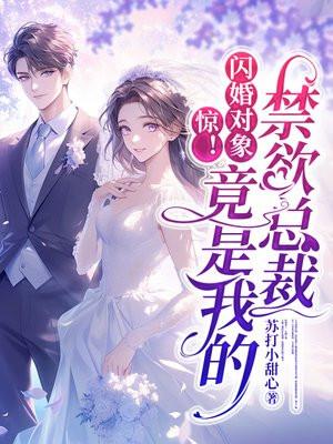 闪婚惊喜