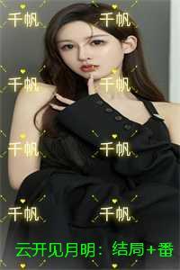 云开见明教育科技数据