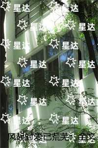 风起时说我爱你全文免费阅读