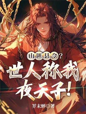 山野匪患上下集视频