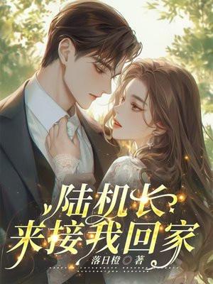 陆机长,来接我回家 陆机长,来接我回家