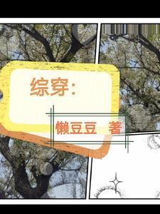 综穿: 综穿: