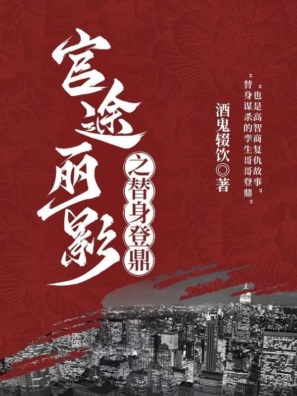 官途丽影 官途丽影