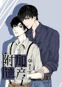 附加遗产 附加遗产