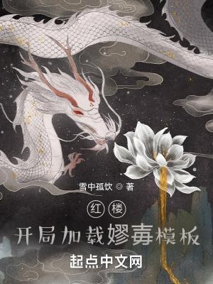 红楼:开局加载嫪毐模板 红楼:开局加载嫪毐模板