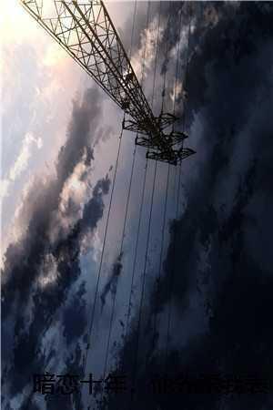 暗恋十年,他先跟我表白了程进罗佳结局+番外 暗恋十年,他先跟我表白了程进罗佳结局+番外