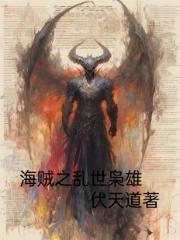 海贼之乱世枭雄 海贼之乱世枭雄
