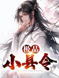 极品小县令 极品小县令