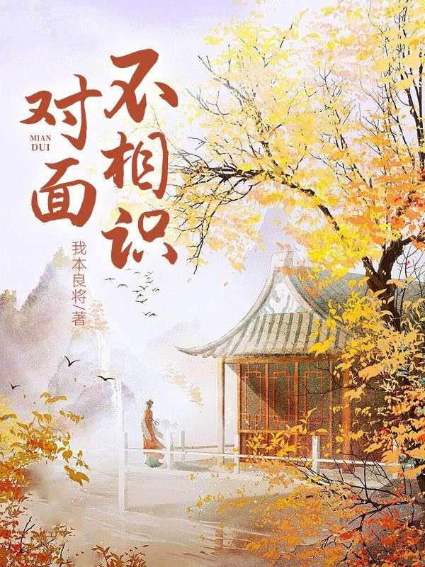 对面不相识 对面不相识