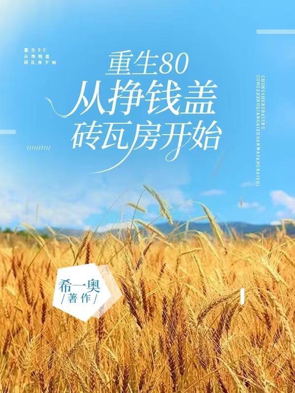 重生80:从挣钱盖砖瓦房开始 重生80:从挣钱盖砖瓦房开始