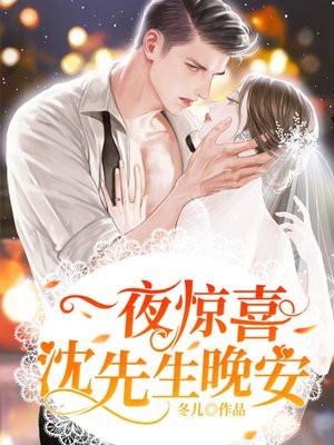 一夜惊喜:沈先生,晚安 一夜惊喜:沈先生,晚安