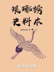 琅琊榜史料本 琅琊榜史料本