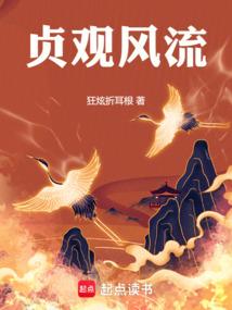 贞观风流 贞观风流