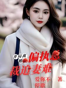 开局离婚:偏执总裁追妻难 开局离婚:偏执总裁追妻难